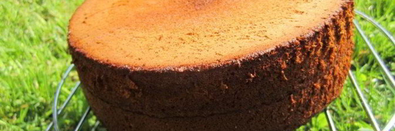 Медовый бисквит