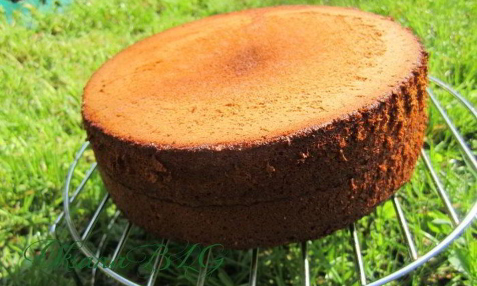 Рецепт медового бисквита