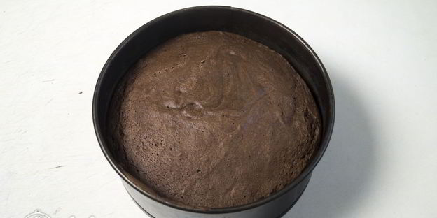 шоколадный торт с заварным кремом