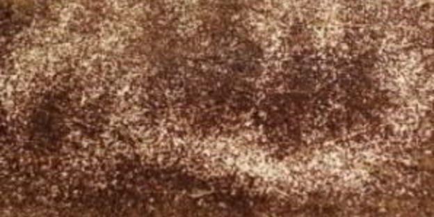 торт тирамису