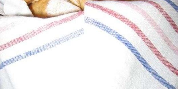 заварные булочки с кремом