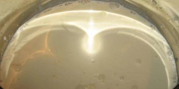 заварные булочки с кремом