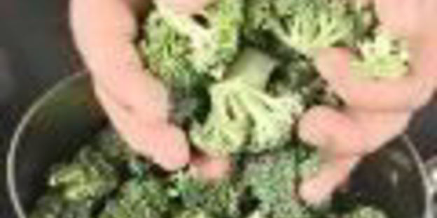 куриная запеканка с брокколи