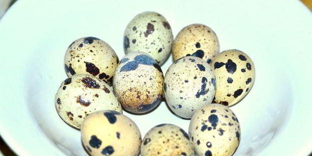 мясная запеканка с грибами и перепелиными яйцами под сливочно-томатным соусом