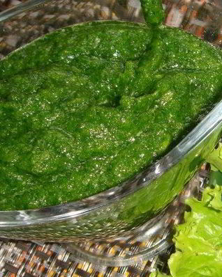 Аджика с кинзой