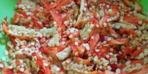 кавказская аджика