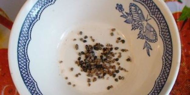 джем из киви и лимонов с кардамоном