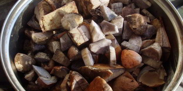 грибочки на зиму