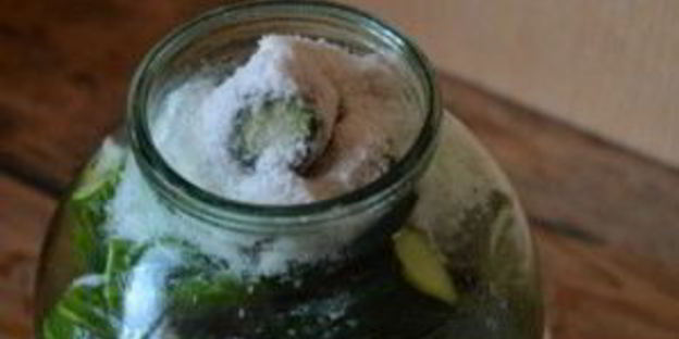 кислые огурчики на зиму