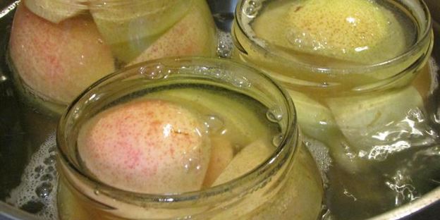 компот грушевый с медом