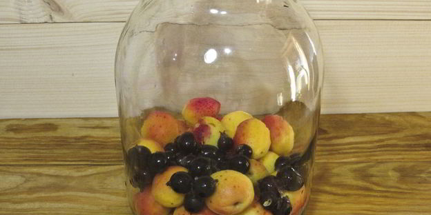 компот из абрикосов и черной смородины на зиму