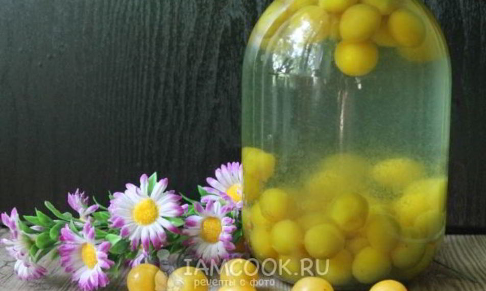 Рецепт компота из алычи на зиму