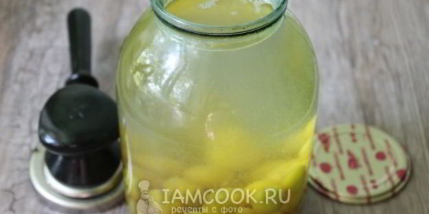 компот из алычи на зиму