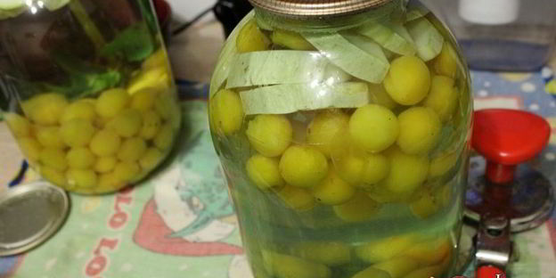 компот из алычи с кабачком