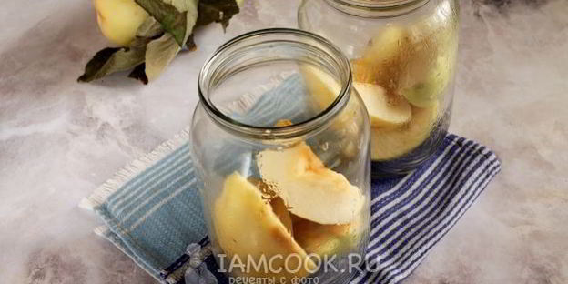 компот из антоновки на зиму