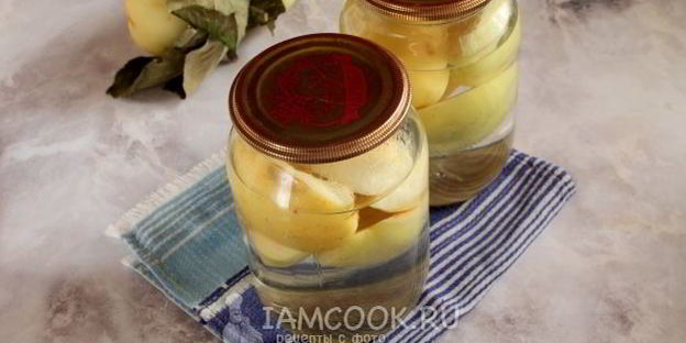 компот из антоновки на зиму