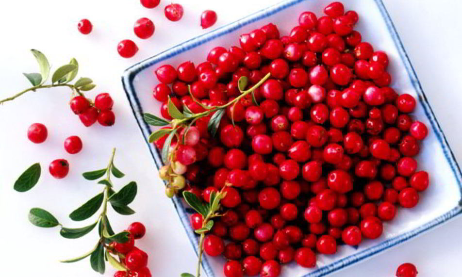 Рецепт компота иза барбарисы