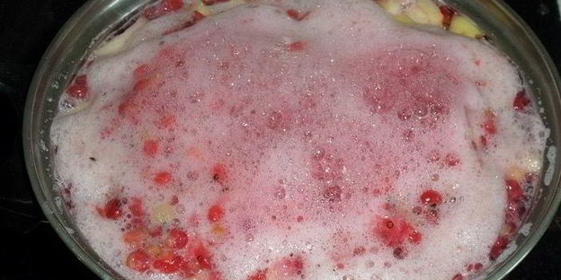 компот из персиков и красной смородины