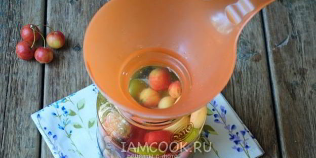 компот из ранеток и слив на зиму