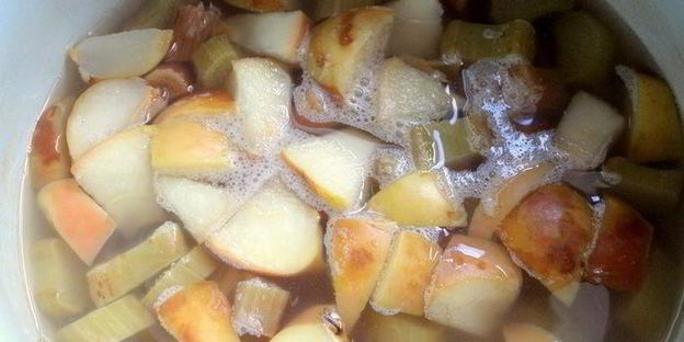 компот из ревеня, яблока и калины