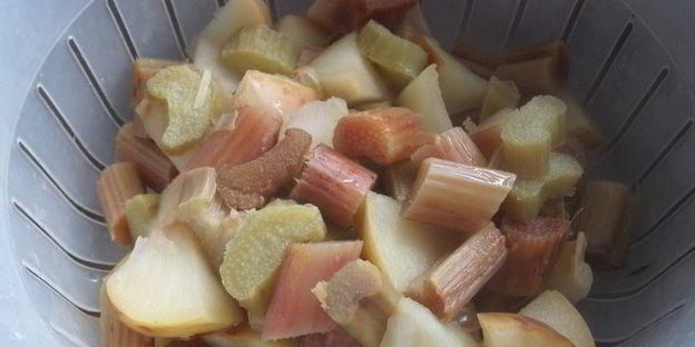 компот из ревеня, яблока и калины