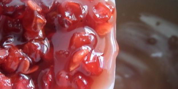 компот из ревеня, яблока и калины