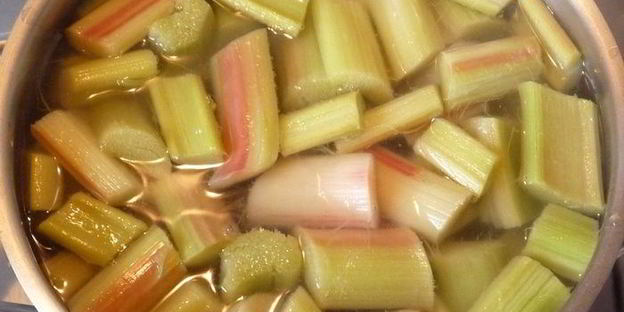 компот из ревеня