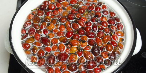 компот из шиповника