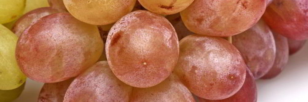 Компот из винограда