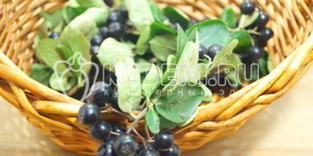 компот из яблок и черноплодной рябины