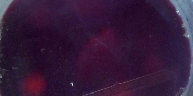 компот из замороженных ягод