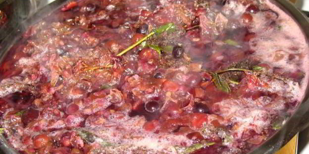 компот изабелла