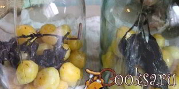 сливовый компот с базиликом на зиму