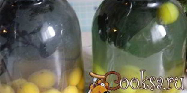 сливовый компот с базиликом на зиму