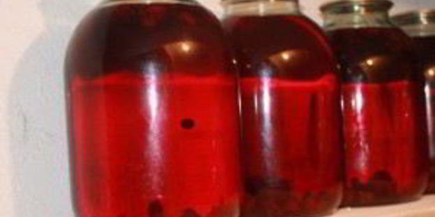 смородиновый компот на зиму