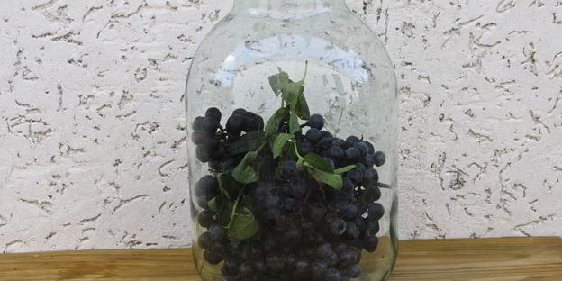 виноградный компот с мятой на зиму