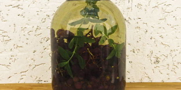 виноградный компот с мятой на зиму