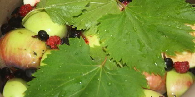 яблочный компот с виноградными листочками