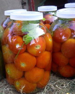 Квашенные помидоры по-Русаковски