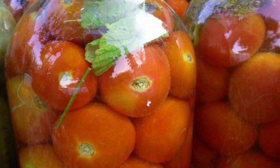 Рецепт квашенных помидоров по-русаковски