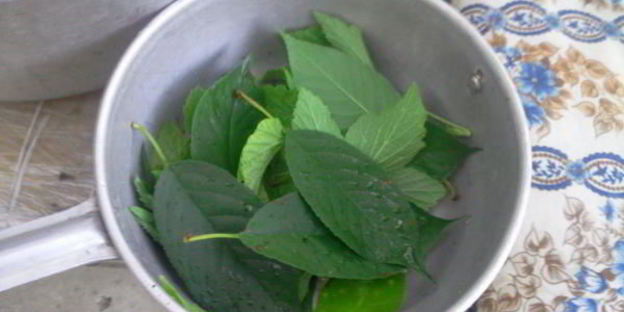 квашенные помидоры по-русаковски