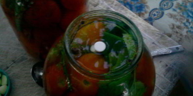 квашенные помидоры по-русаковски