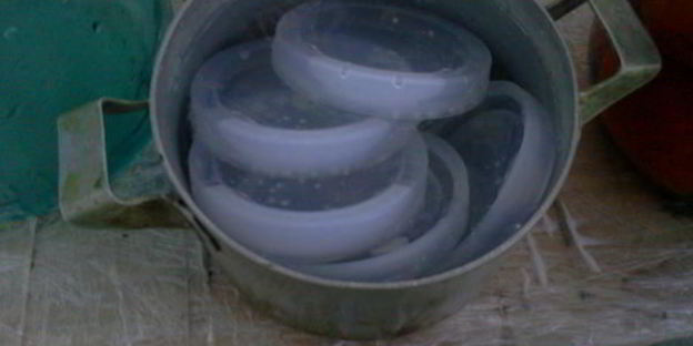 квашенные помидоры по-русаковски