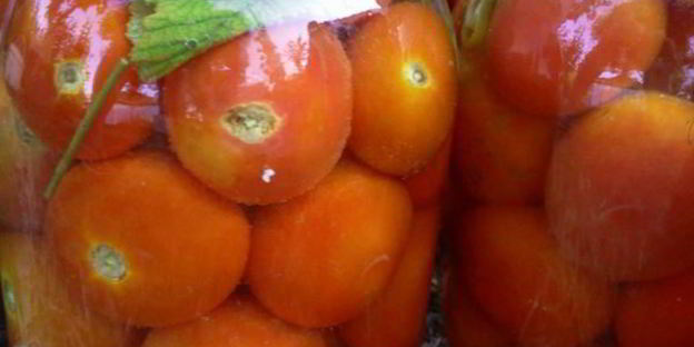 квашенные помидоры по-русаковски