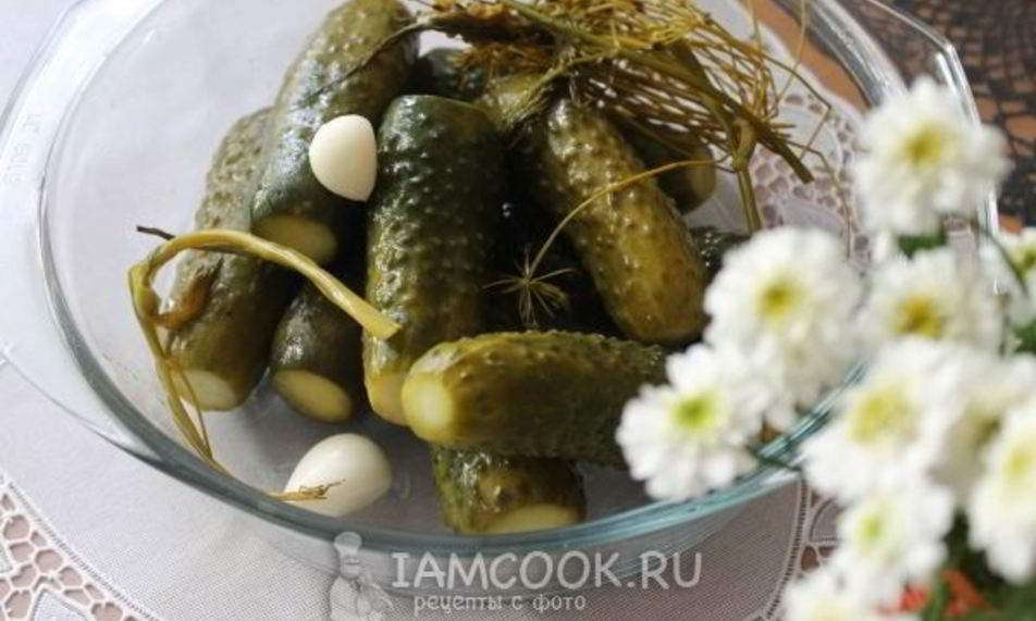 Рецепт квашеных огурцов на зиму без уксуса