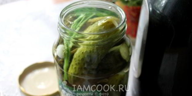квашеные огурцы на зиму без уксуса