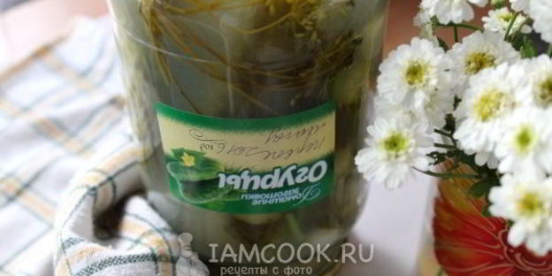 квашеные огурцы на зиму без уксуса