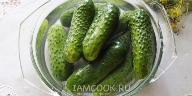 квашеные огурцы на зиму без уксуса