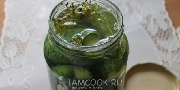 квашеные огурцы на зиму без уксуса