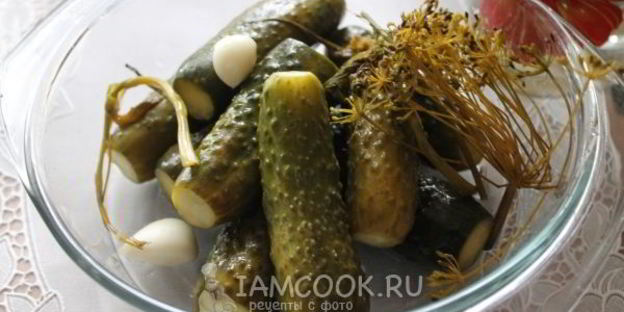 квашеные огурцы на зиму без уксуса
